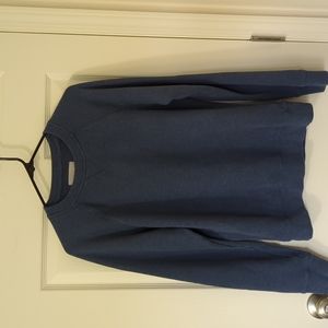 Everlane blue pullover sweatshirt